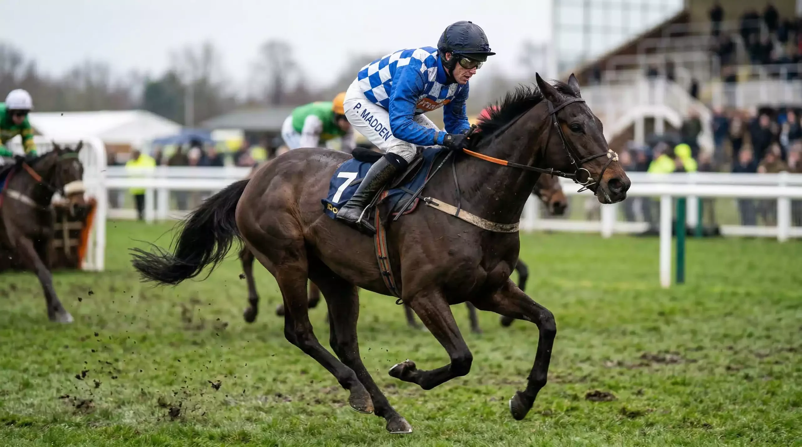 National Hunt jockey in racing silks riding a staying chaser during a Grade 1 race