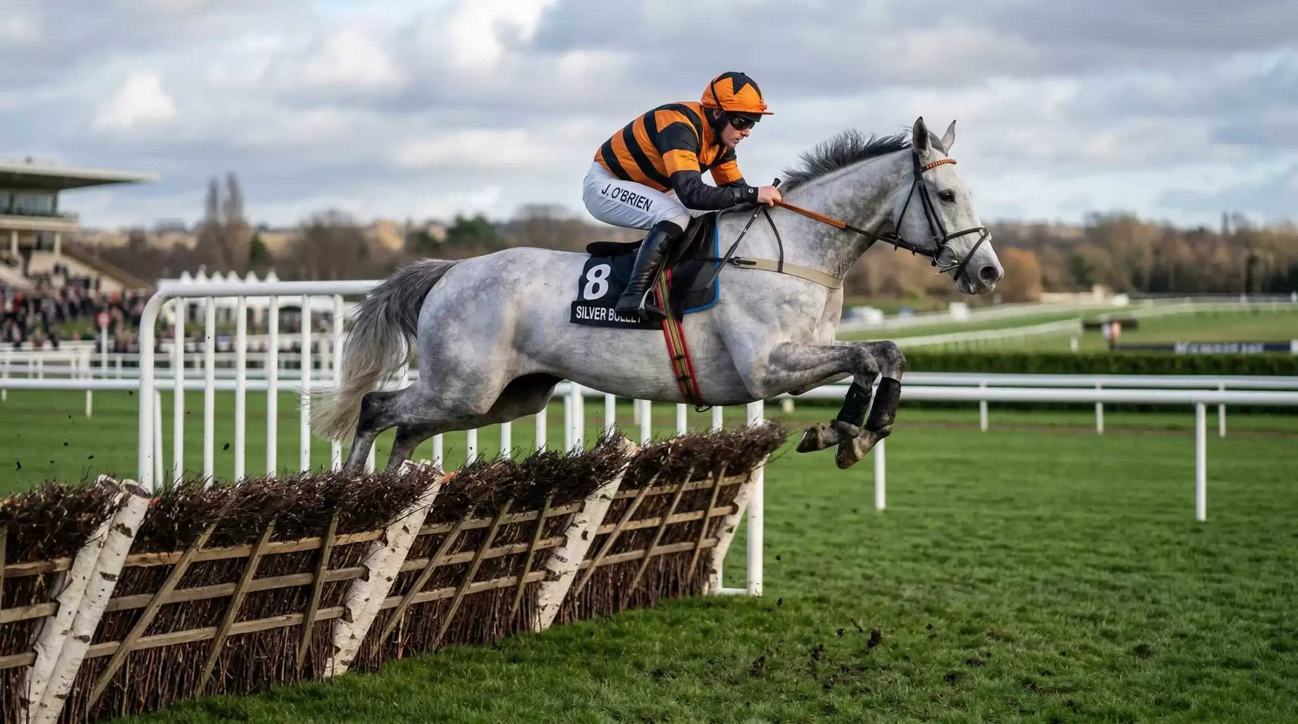 Steeplechase horse clearing a fence on the flat right-handed Kempton Park circuit